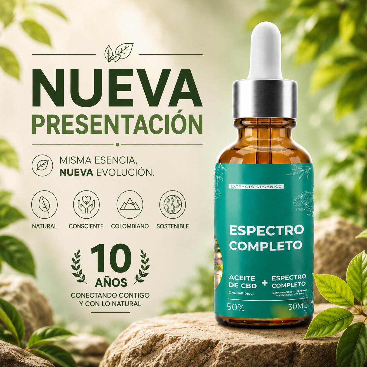 nueva presentacion